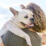 7 Adorable Types Of Bulldogs To Adopt For A Loving Furry Friend