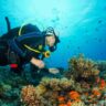 7 Best Places to Scuba Dive in the U.S.