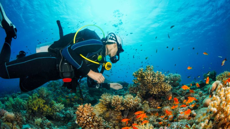 7 Best Places to Scuba Dive in the U.S.