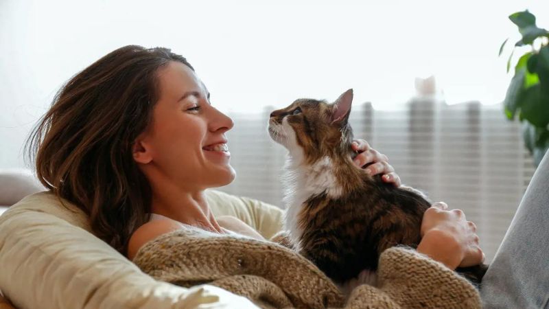 9 Best Cat Breeds for Your Apartment