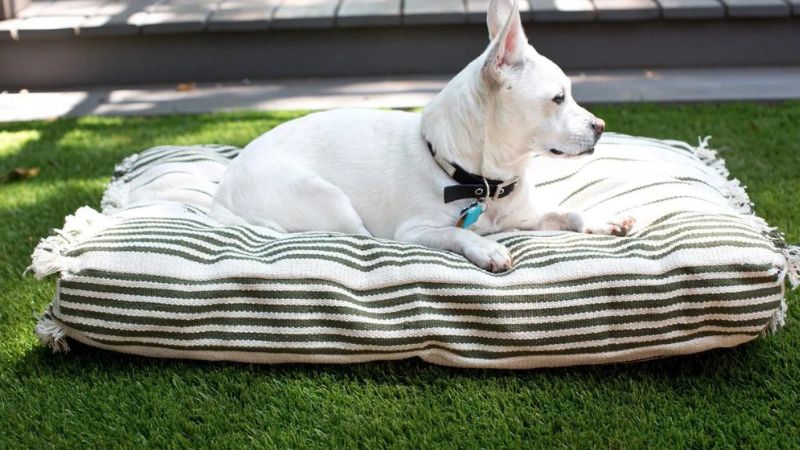 How to Make a Pet Bed Slipcover From a Flat-Weave Rug